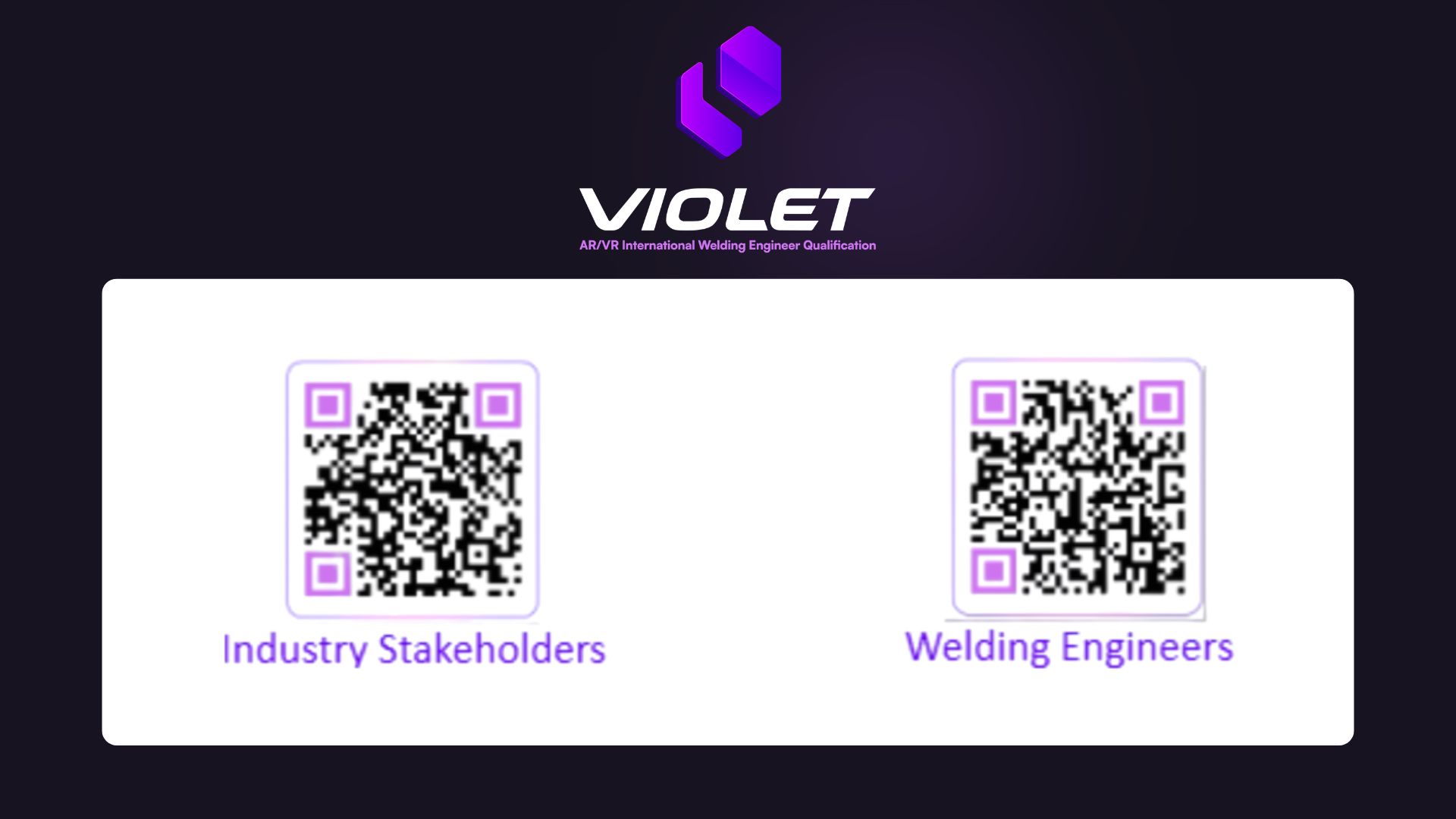 VIOLET stakeholder survey